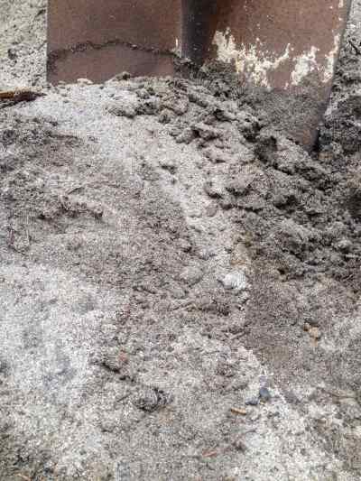 bassendean sand
